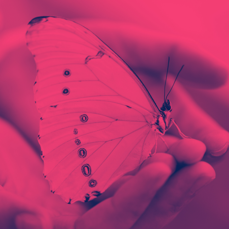 accompagnement au slowpreneuriat